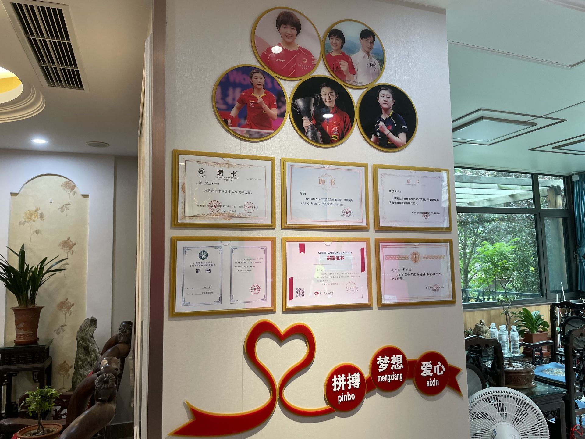 陈梦的家里,有一面"家庭荣誉墙"