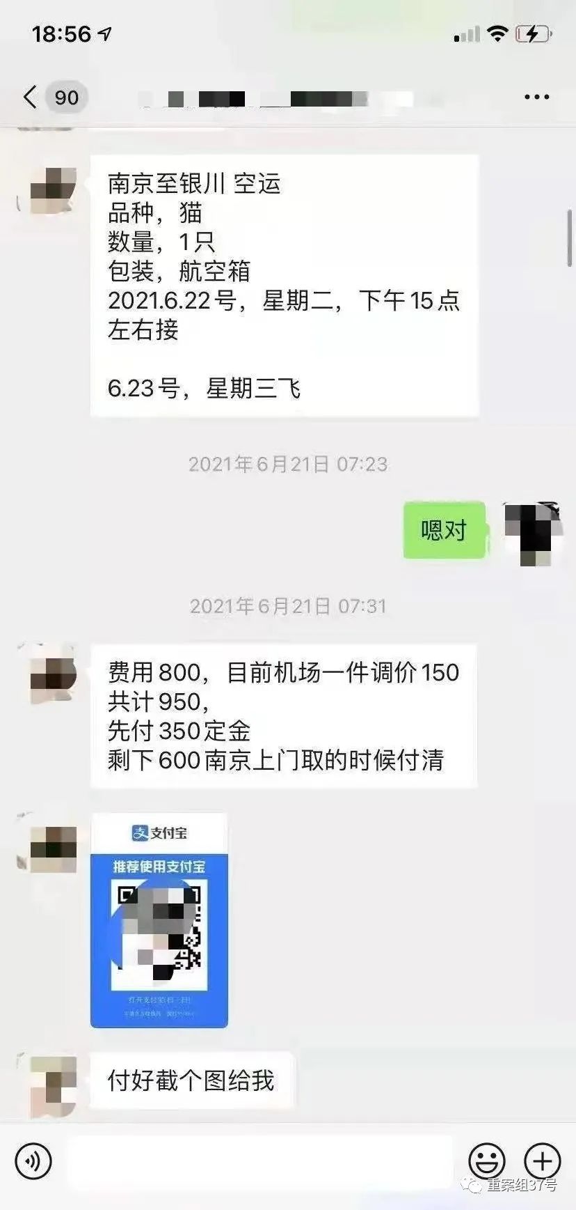 ▲一名宠物主人与商家的托运聊天记录。受访者供图