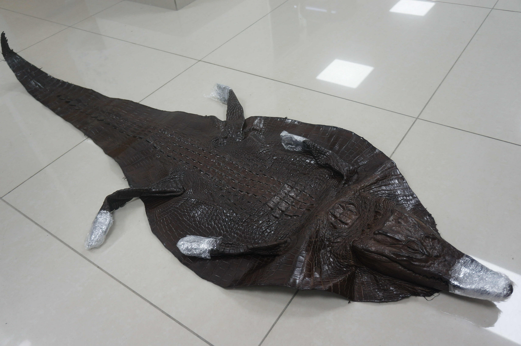 上海邮局海关查获濒危暹罗鳄鱼整皮1张，已依法扣留
