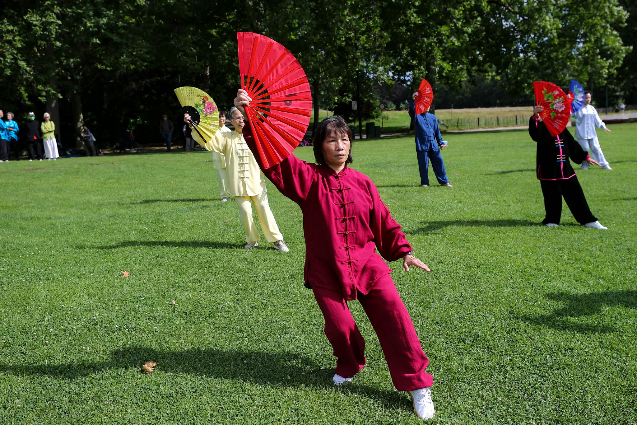 比利时公园舞太极