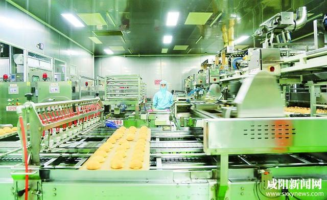 三原县达利高端休闲食品生产线