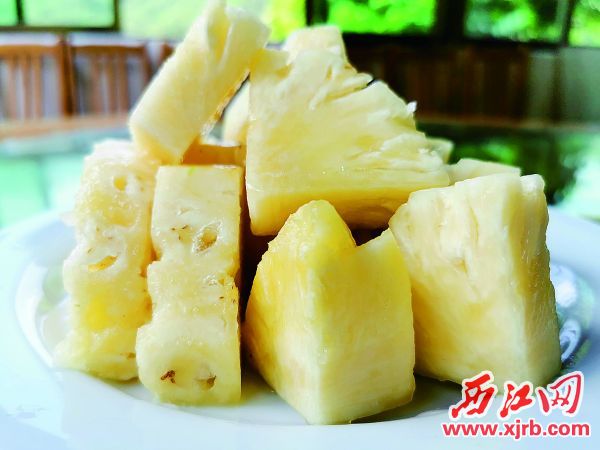 高要双马村双马菠萝 甜蜜"出圈"飘香四海