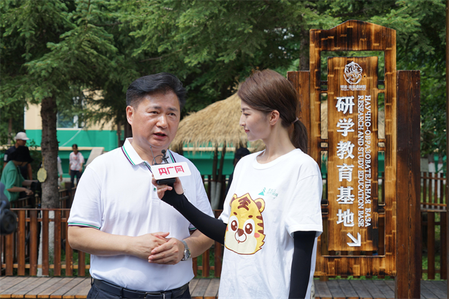 中国横道河子猫科动物饲养繁育中心的总工程师刘丹接受采访。马俊玮 摄