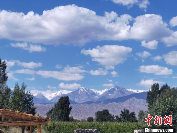 甘肃肃州戈壁印象 梯田万里花锦簇阶绿山村看不完 手机新浪网