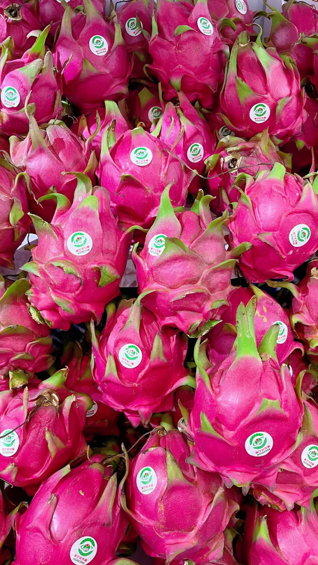 南宁火龙果将在"华东第一果市" 嘉兴水果市场进行推介