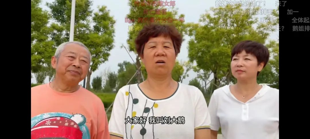 「朱一旦宇宙」破败300天后,刘大鹅广场势力在b站崛起