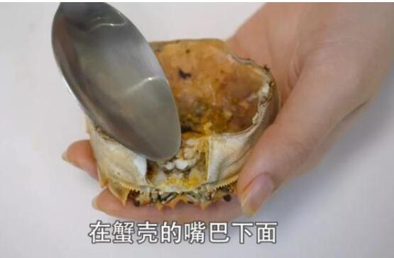 8月螃蟹肥美的季节即到手把手教你大闸蟹正确吃法别错过