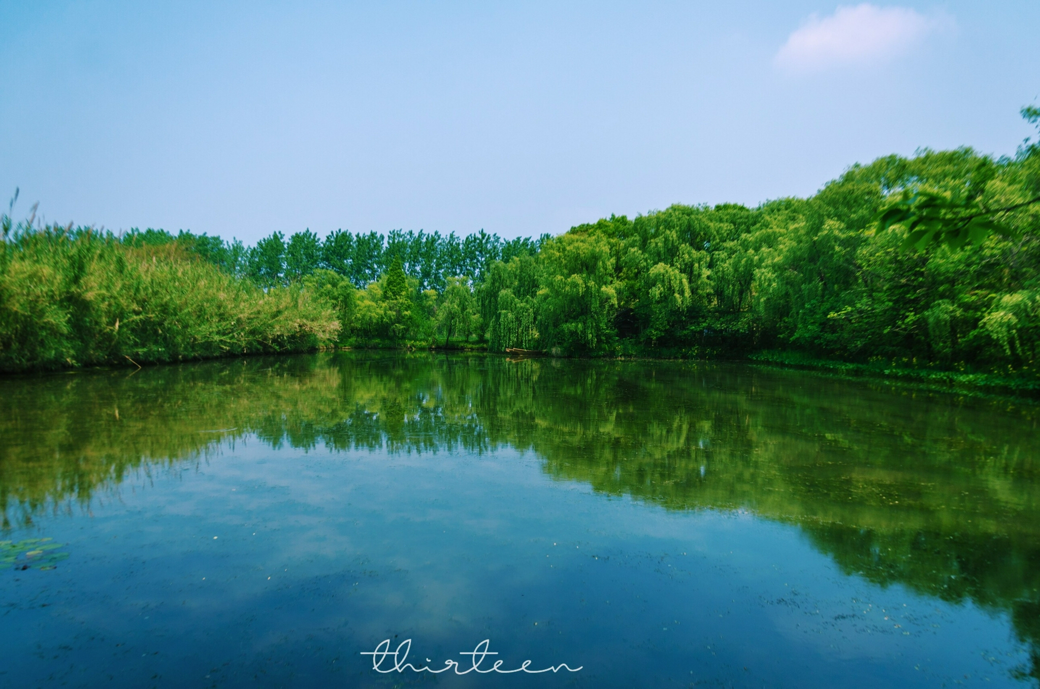 溱湖国家湿地公园,泰州旅游必打卡,拥有着"麋鹿故乡"之称