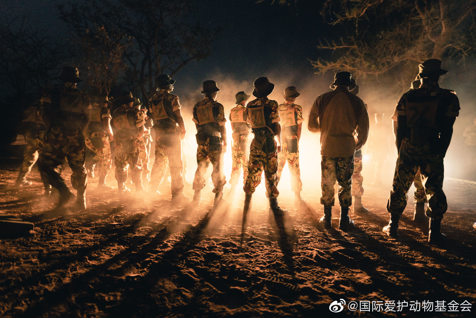 他们是平凡的人也是勇敢的战士,很多人羡慕他们工作