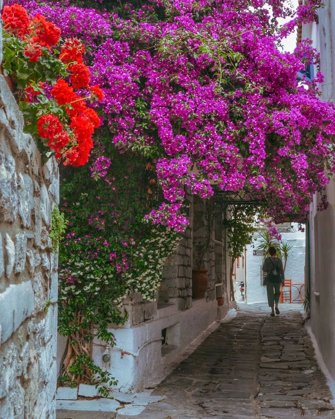 com.photo by ins@labrosmartsakis.1fuhua.com.