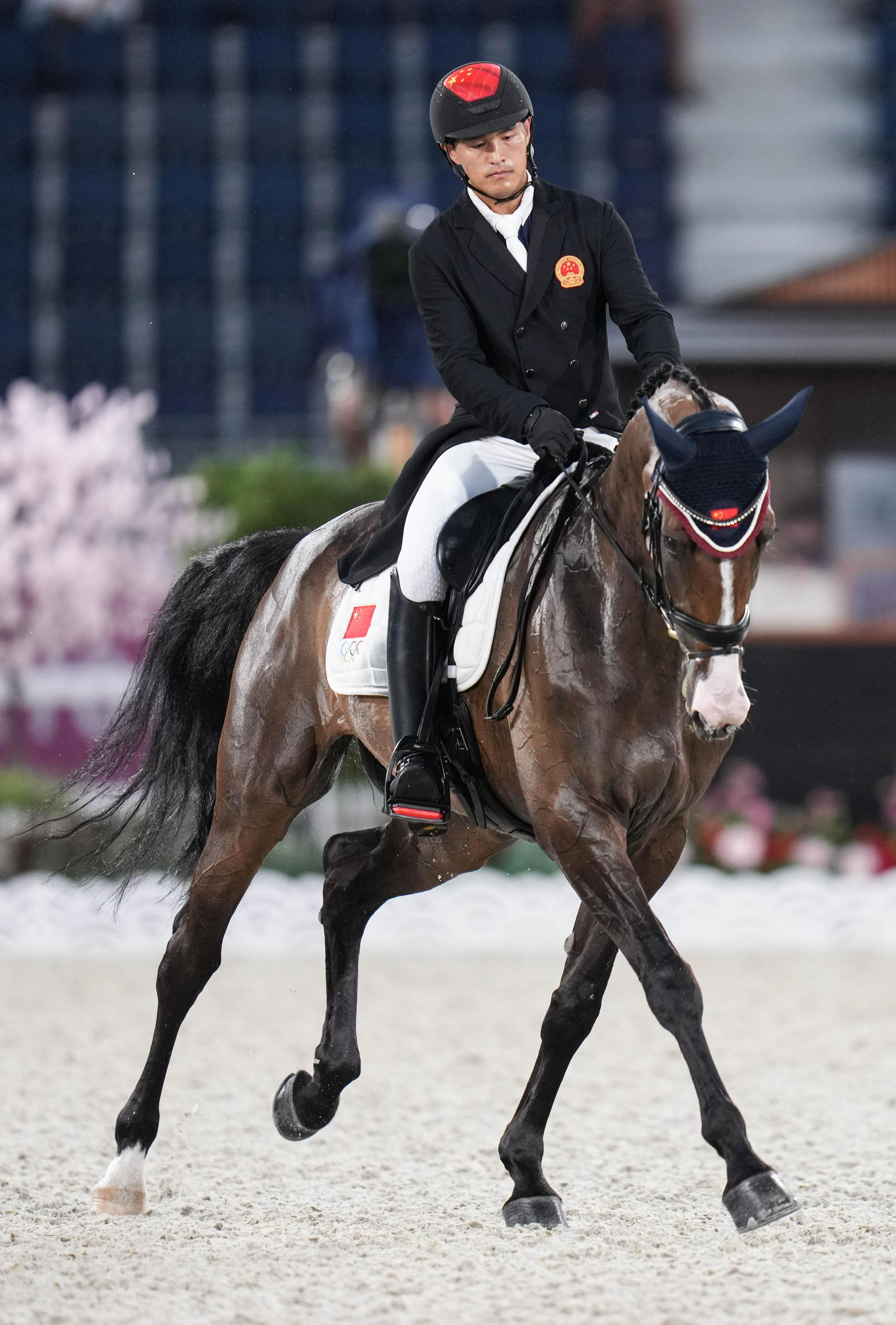 马术马术三项赛盛装舞步项目举行