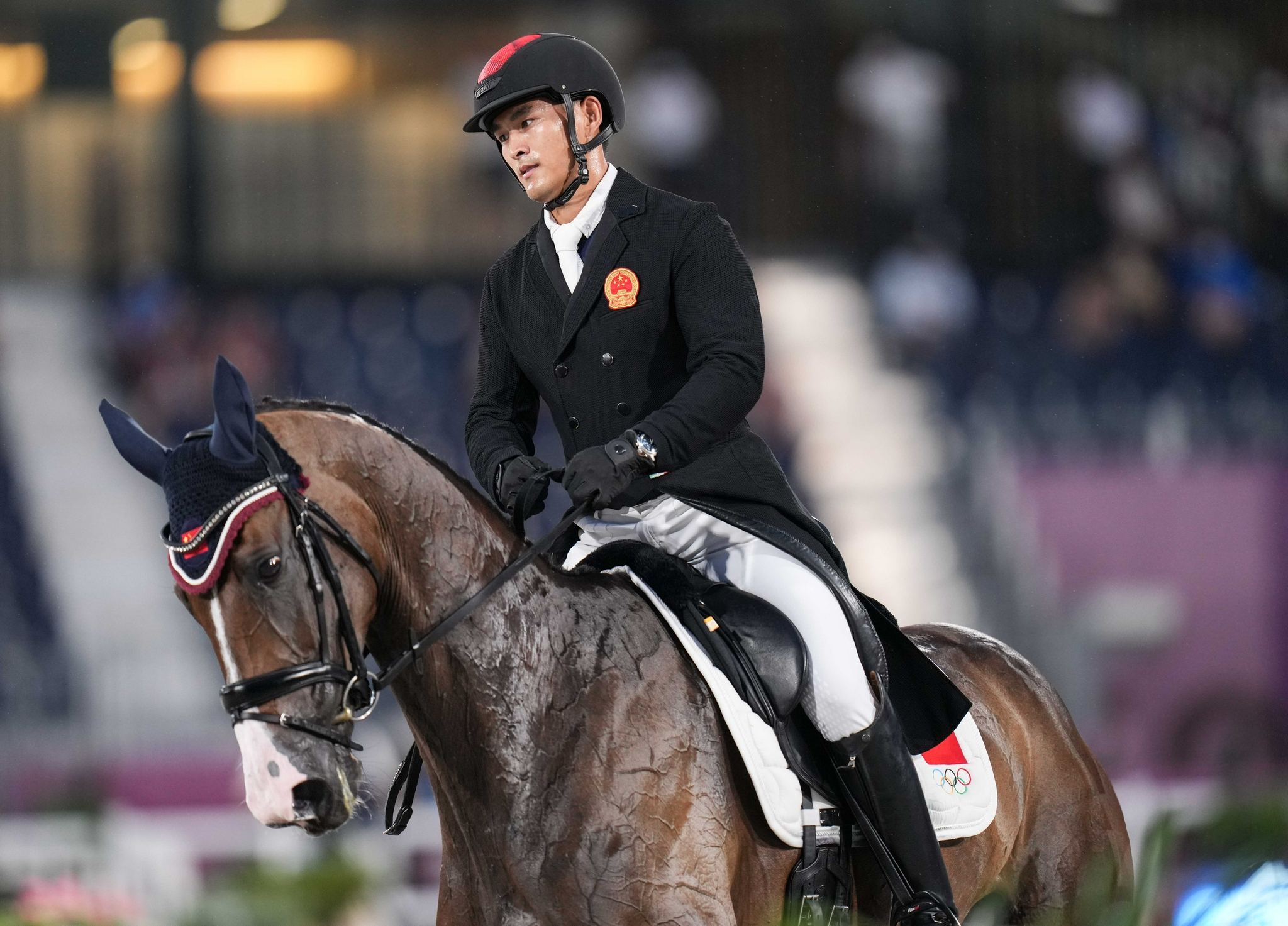 马术马术三项赛盛装舞步项目举行