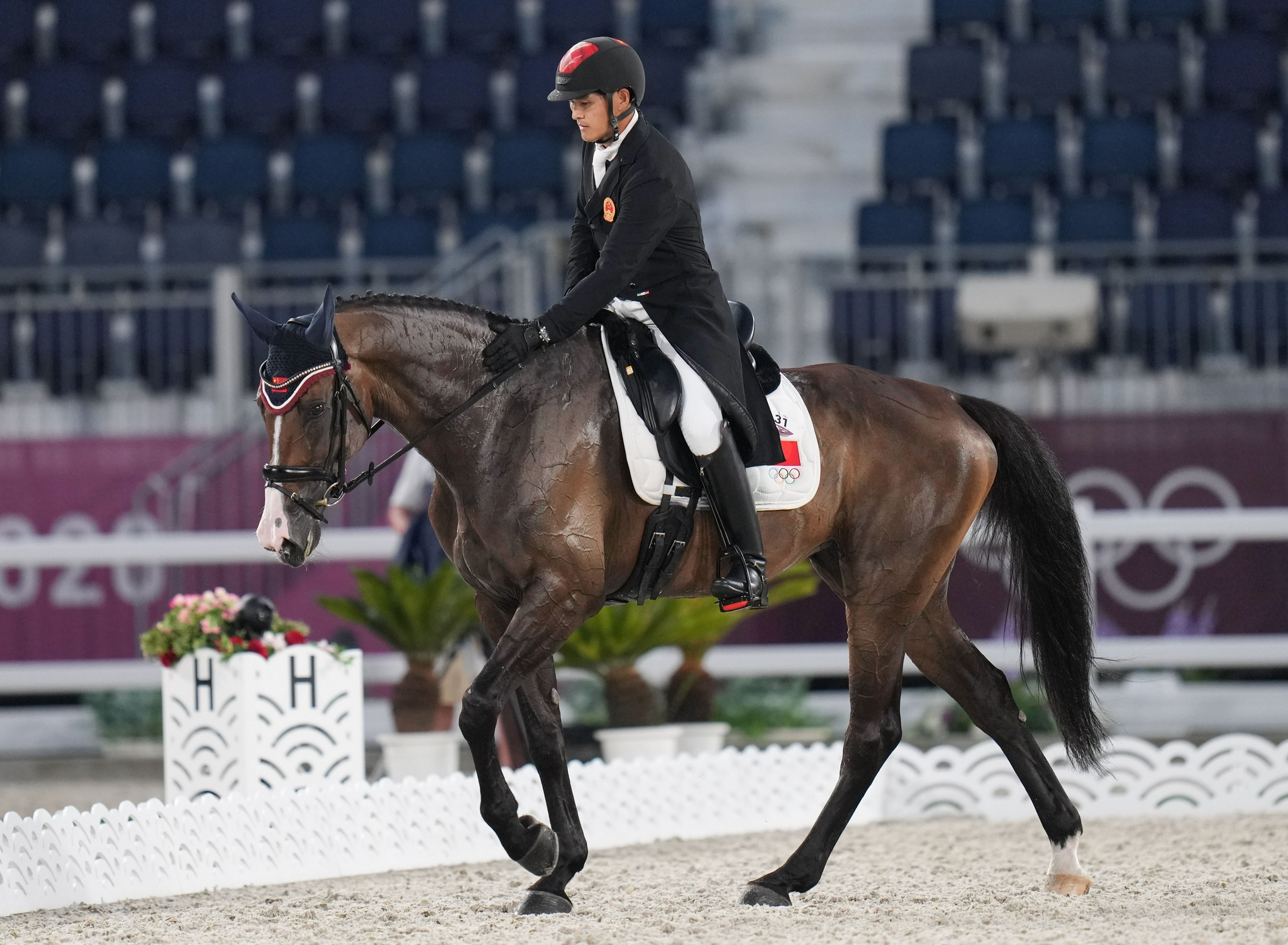 马术马术三项赛盛装舞步项目举行