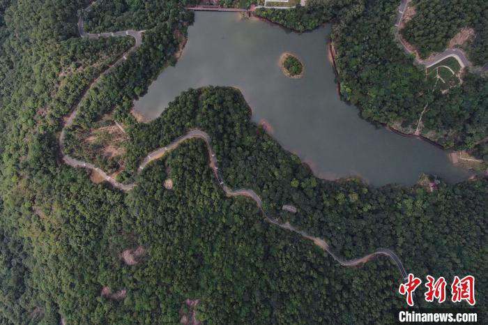 航拍镜头下的广州市白江湖森林公园。陈楚红 摄