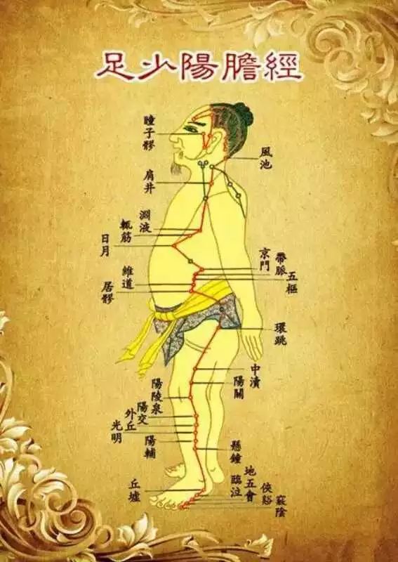 敲胆经：生阳气、补气血、扶正气！|太阳|脏腑|五脏六腑|经络|胆气_新浪新闻