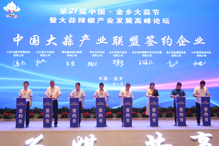 以蒜为媒共享发展第21届中国金乡大蒜节举行