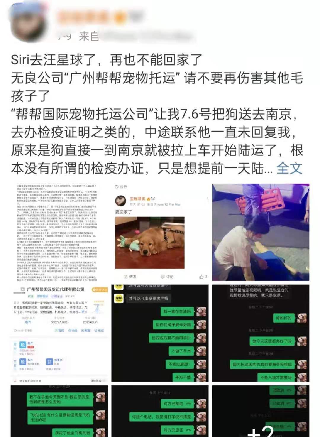 网红赵大肥博士自曝走关系进华科,还称有背景,父母均为高校老师休闲区蓝鸢梦想 - Www.slyday.coM