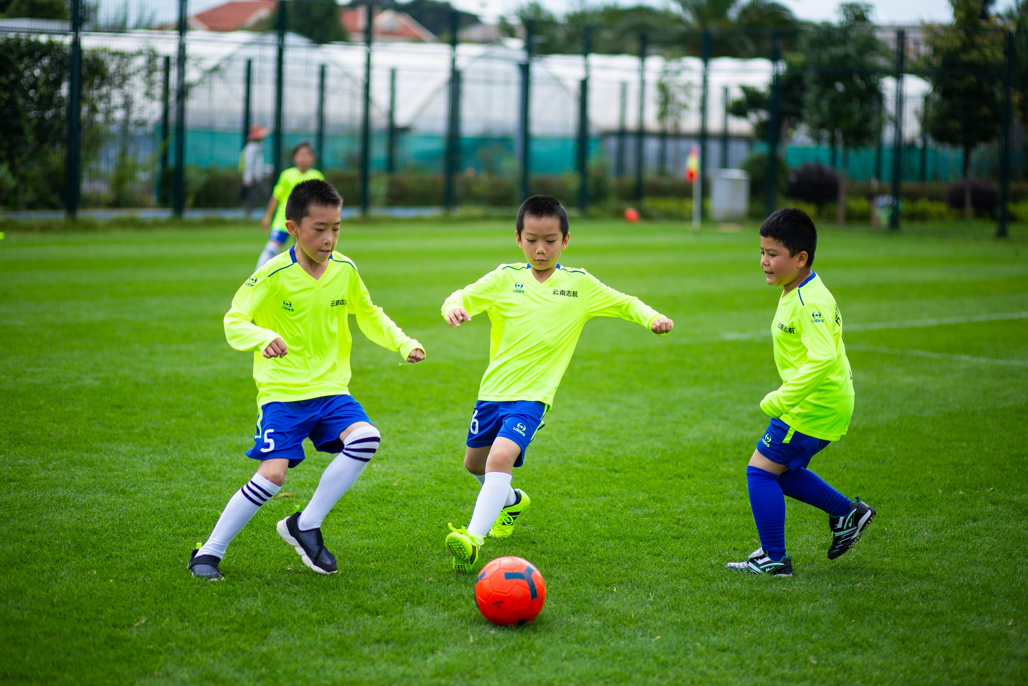 2021年暑假滇池之夏杯少儿足球赛你约吗