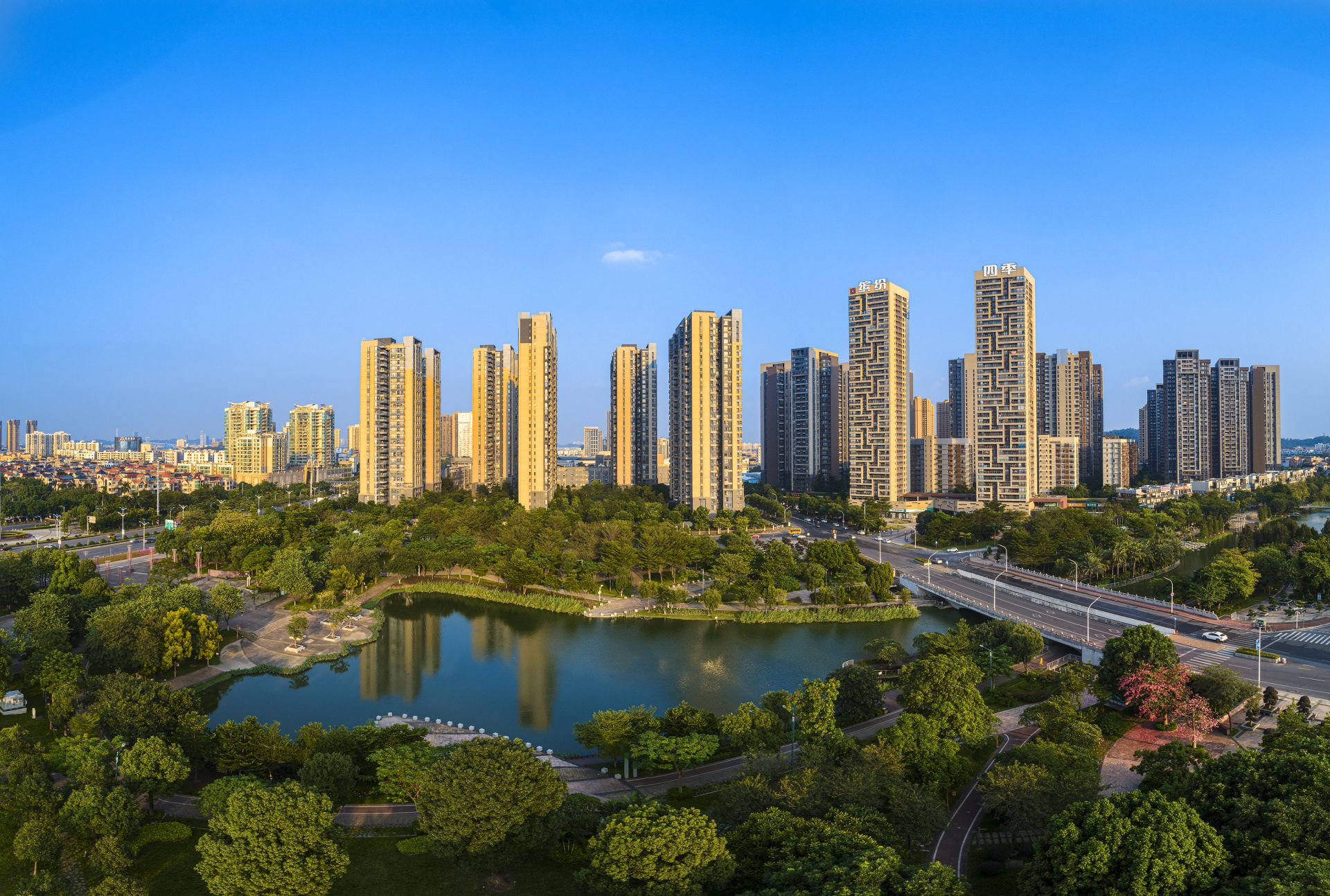 陈村举行投资推介会暨中集智城启动仪式