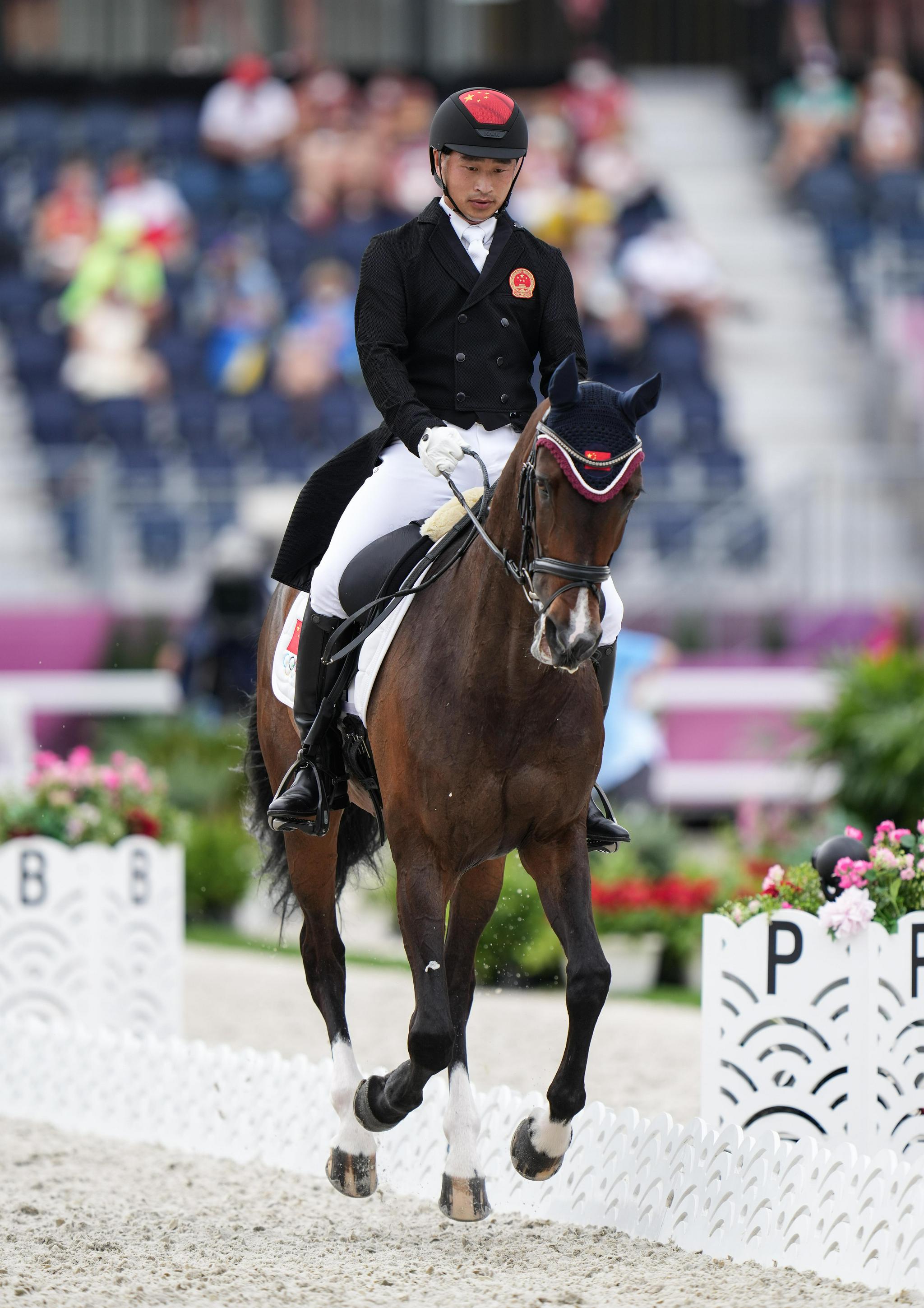 当日,东京奥运会马术三项赛盛装舞步项目进入第二日比赛.