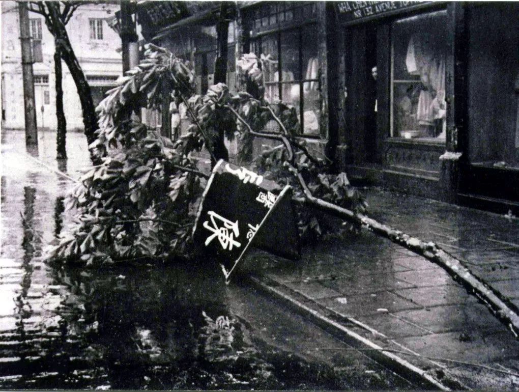 老照片中台风过后的上海街头倒伏的行道树。分别拍摄于20世纪20和30年代