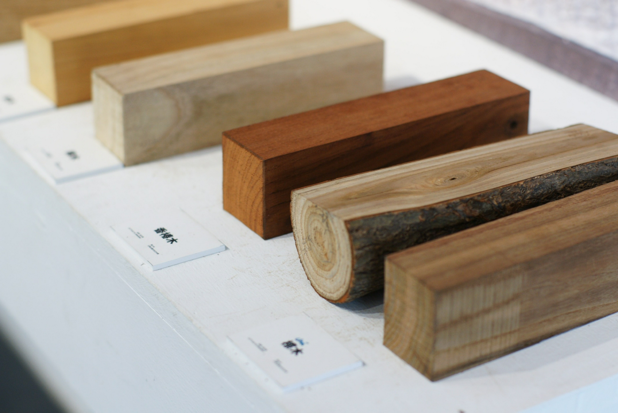 让古建筑成为儿童美育的活教材