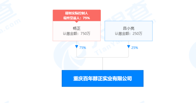 图片来源：天眼查App截图