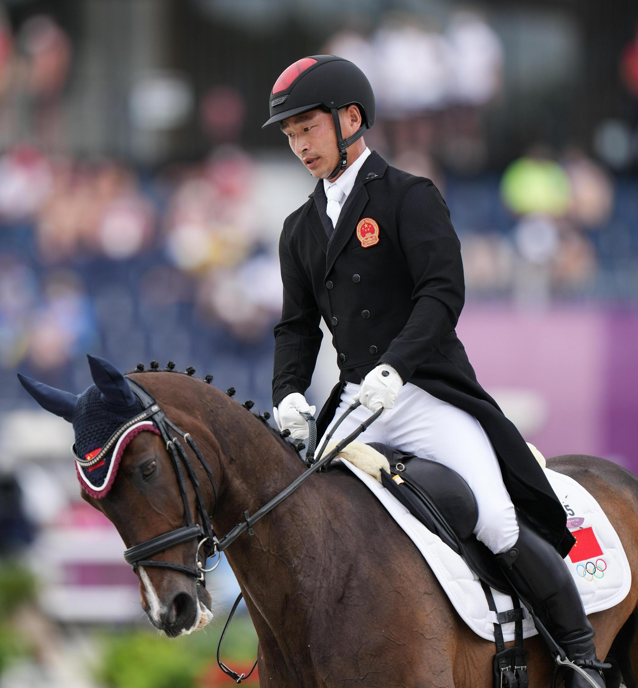 马术——马术三项赛盛装舞步第二日赛况|马术|东京奥运会_新浪新闻