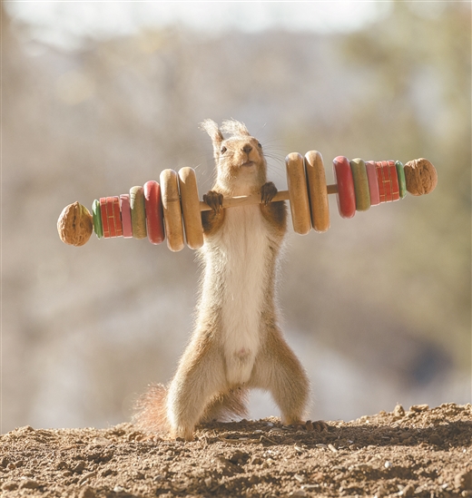 现在,就让我们一起领略小动物们的运动风采吧!