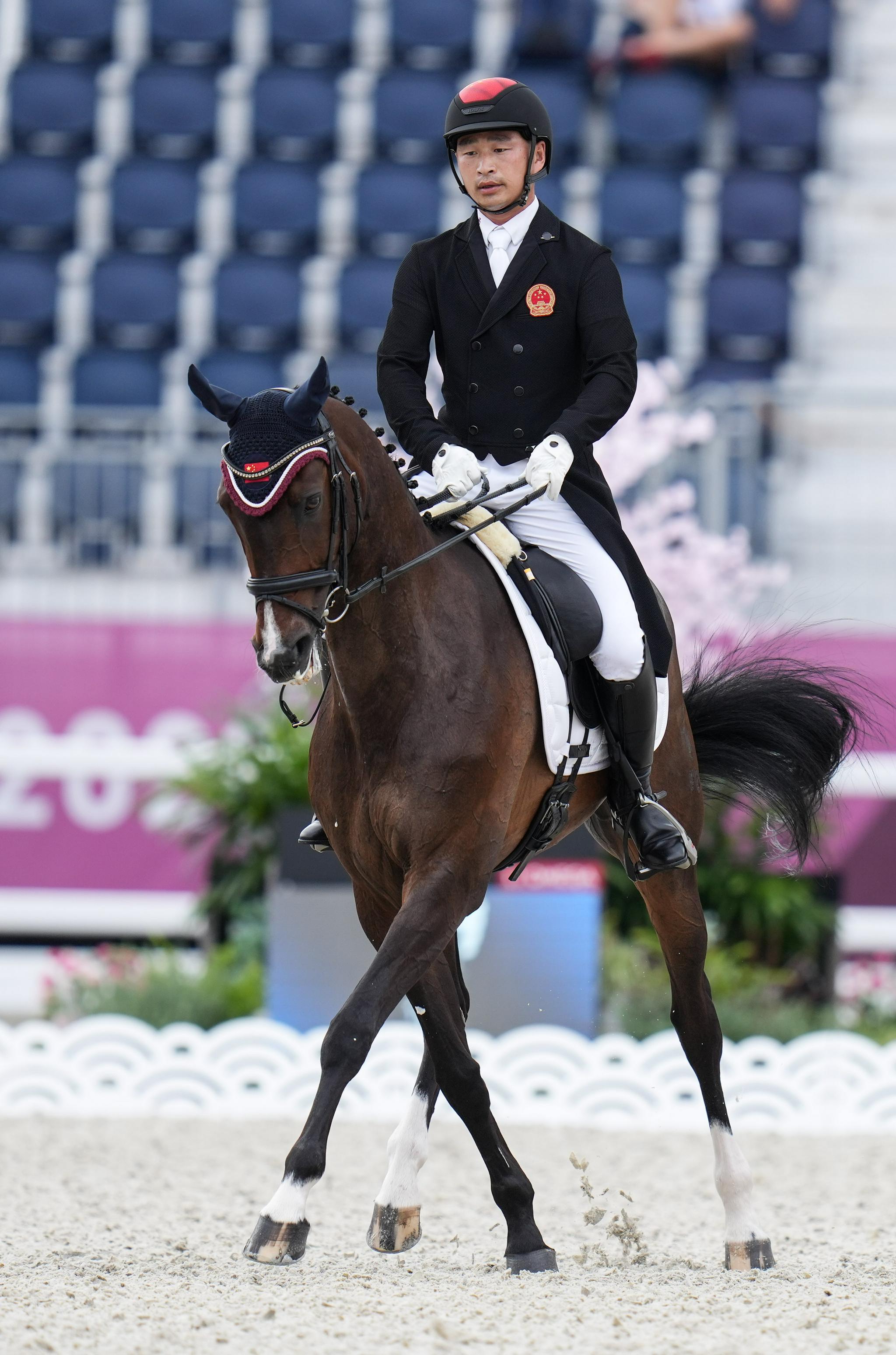 马术——马术三项赛盛装舞步第二日赛况