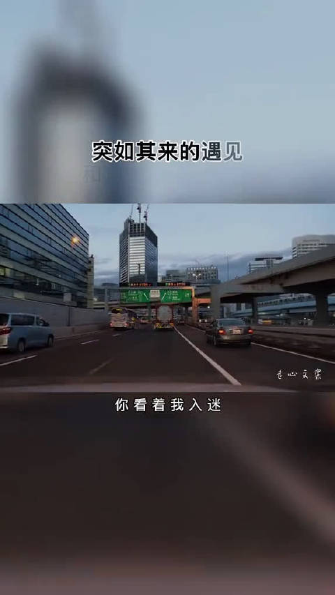 这世上总会有"突如其来的遇见和始料未及的欢喜"当然也会有"猝不及防
