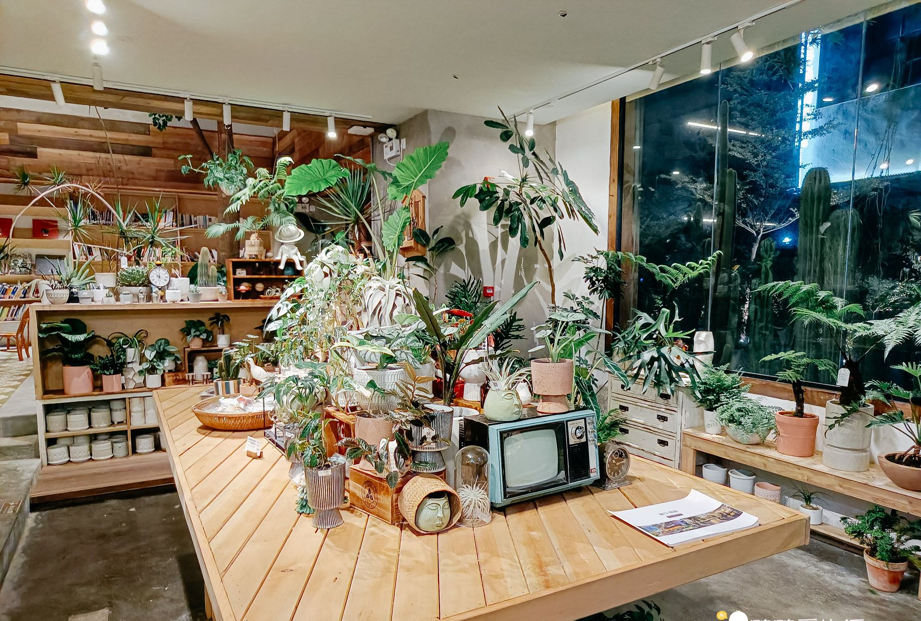 厦门华美空间藏一个绝美拍照地误入仙境可吃饭可拍照可看书