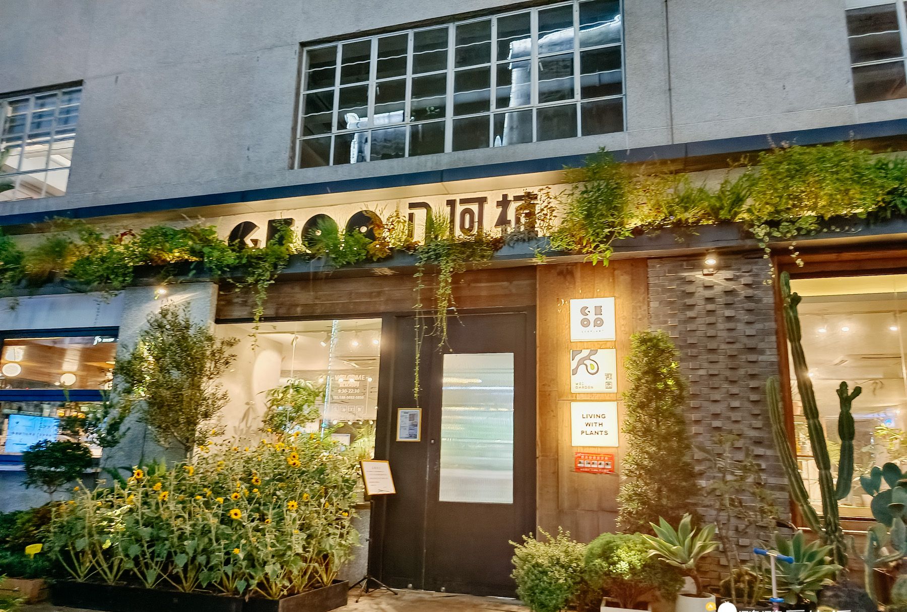 厦门华美空间藏一个绝美拍照地误入仙境可吃饭可拍照可看书