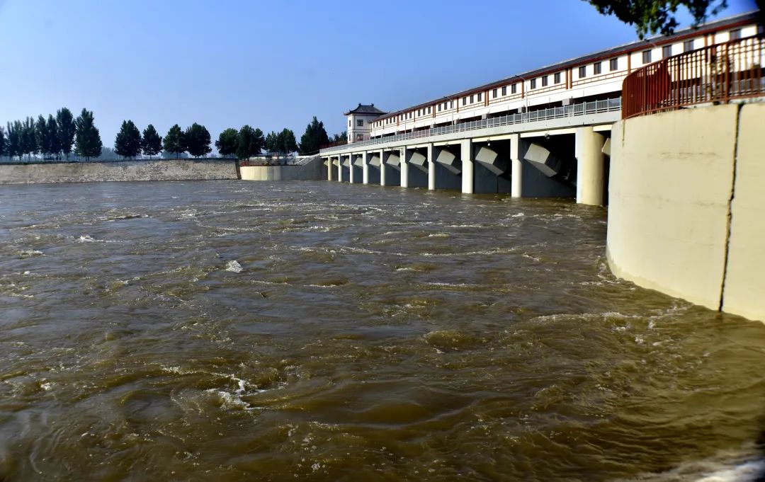 岔河,减河,南运河临近警戒水位!