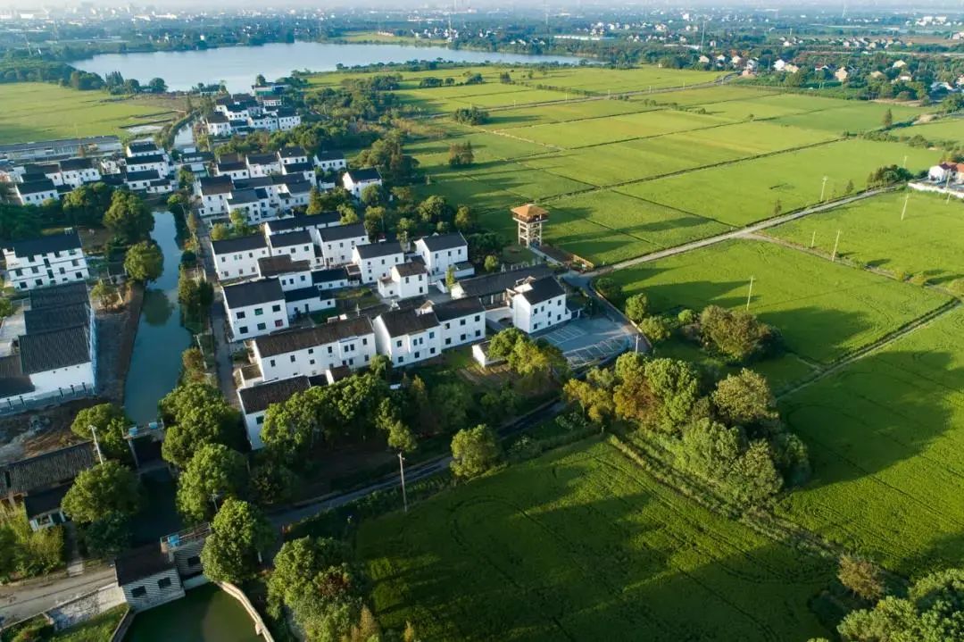 探索养在青吴嘉静享夏日江南乡村美如画