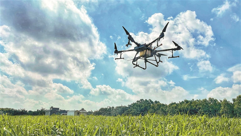 大疆无人机 成田间新宠