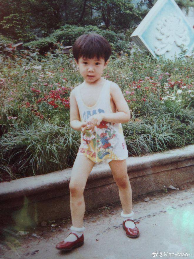 蝉联单人和双人金牌,"施博士"奥运之旅圆满落幕|施廷懋|王涵|金牌