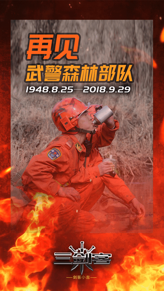 今天,致敬永远的武警森林部队
