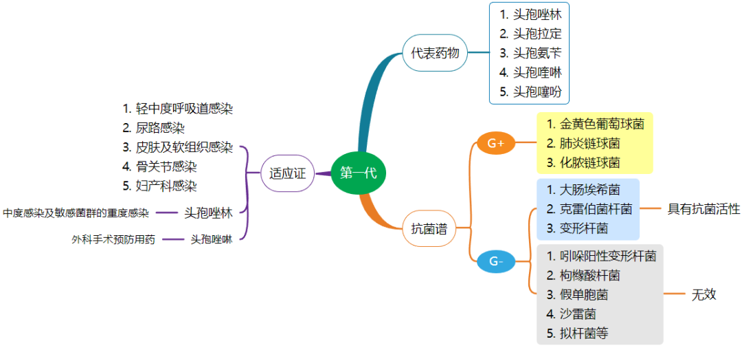 头霉素类以及氧头孢烯类抗菌药物的代表药物,抗菌谱,适应证进行分类