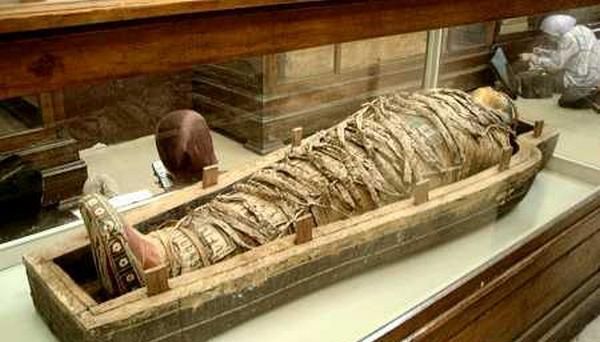 "恐龙木乃伊"极其稀有,它是如何形成的?