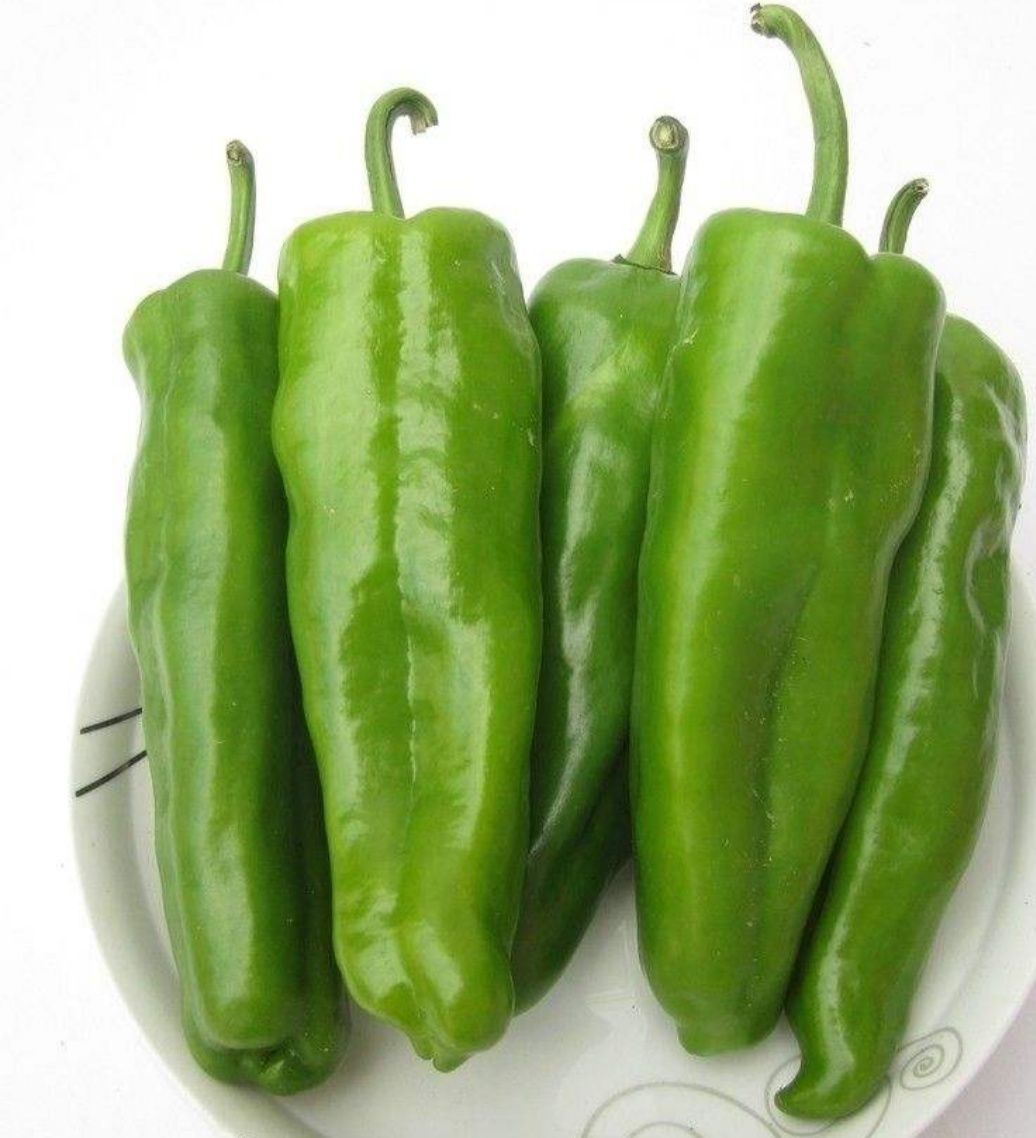 用青椒当主料做一道菜,酱焖青椒,简单好做的家常菜,太下饭了