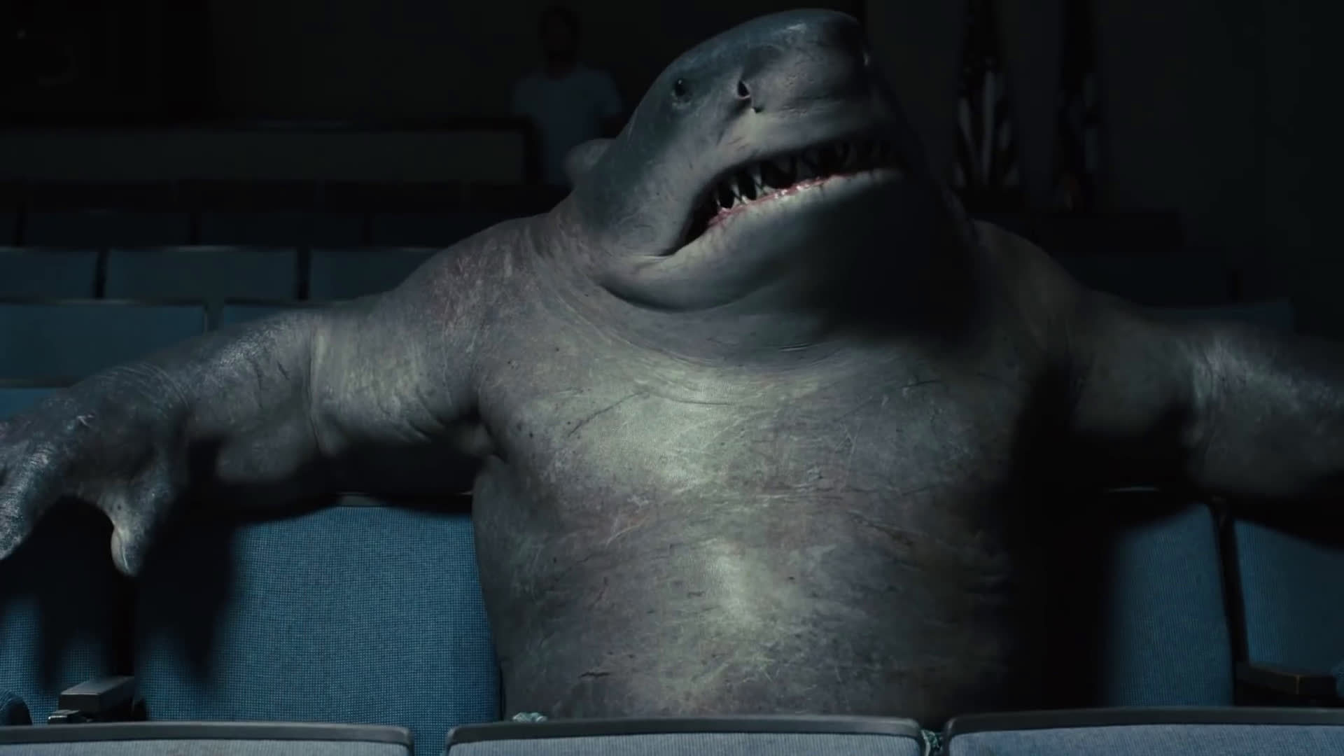 鲨鲨,饿饿,饭饭!