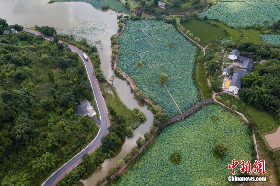 航拍夏日重庆铜梁荷和原乡 诗意田园