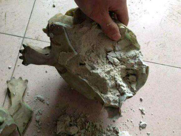 农民工街头卖玉龟,男子6000元买走,结果让他心如刀绞