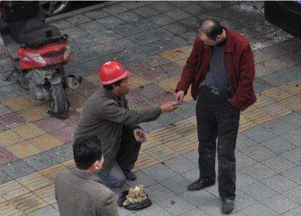 农民工街头卖玉龟,男子6000元买走,结果让他心如刀绞