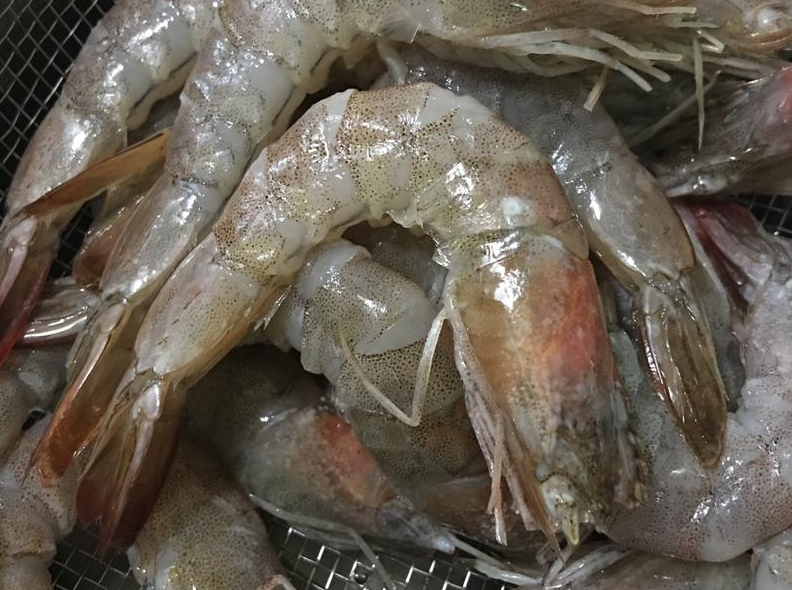 保存大虾不能直接冻冰箱!老渔民教你3招,1年不坏!