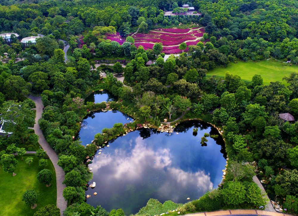 青秀山的红与绿