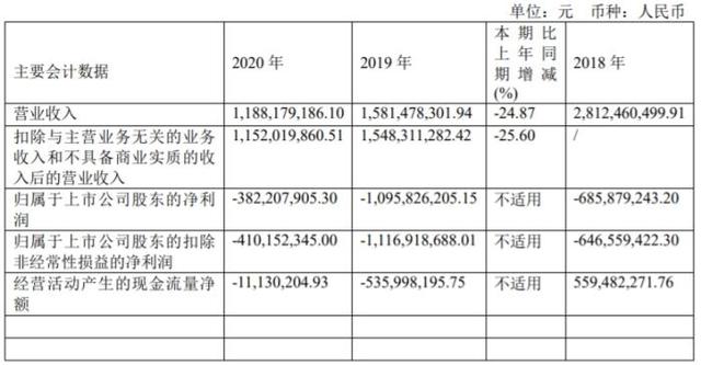 截图自贵人鸟2020年年报。