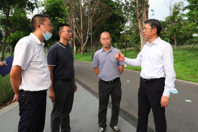 马田街道巡河护域不放松