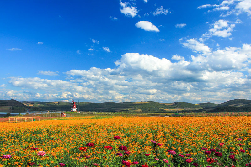 敦化市雁鸣湖镇入选首批全国乡村旅游重点镇(乡)